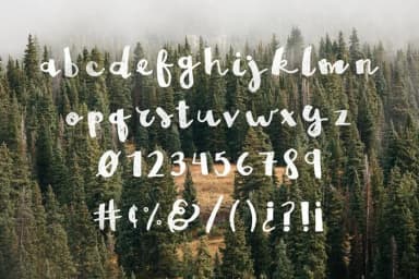 Brown Fox Font by Noe Araujo — Script Handwritten Font — thumbnail 3