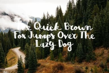 Brown Fox Font by Noe Araujo — Script Handwritten Font — thumbnail 4