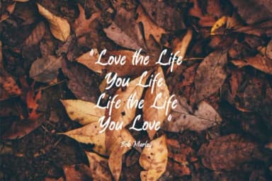 Brown Sugar Font by Fype Co. — Script Handwritten Font — thumbnail 3