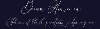 Brown Amsonia by Nathatype — Script Handwritten Font — thumbnail 2