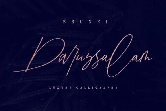 Brunei Darussalam Font by Discipline — Script Handwritten Font