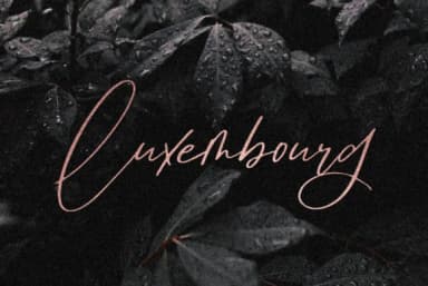 Brunei Darussalam Font by Discipline — Script Handwritten Font — thumbnail 3