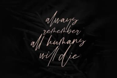 Brunei Darussalam Font by Discipline — Script Handwritten Font — thumbnail 5