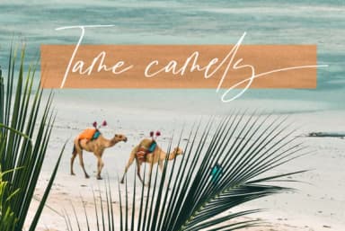 Brunei Darussalam Font by Discipline — Script Handwritten Font — thumbnail 4