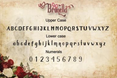 Brunella Font by dmletter31 — Script Handwritten Font — thumbnail 2