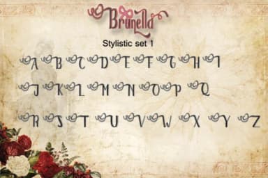 Brunella Font by dmletter31 — Script Handwritten Font — thumbnail 3