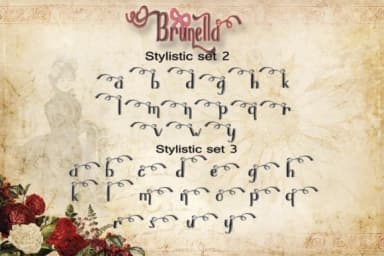 Brunella Font by dmletter31 — Script Handwritten Font — thumbnail 4