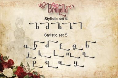 Brunella Font by dmletter31 — Script Handwritten Font — thumbnail 5