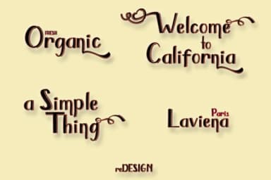 Brunella Font by dmletter31 — Script Handwritten Font — thumbnail 7