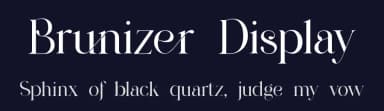 Brunizer Display by UI Creative — Serif Font — thumbnail 2