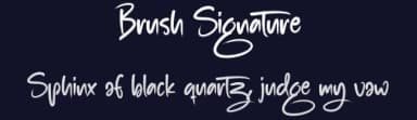Brush Signature by Scratchones — Script Handwritten Font — thumbnail 2