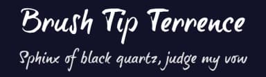 Brush Tip Terrence by JOEBOB graphics — Script Handwritten Font — thumbnail 2