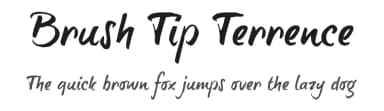 Brush Tip Terrence by JOEBOB graphics — Script Handwritten Font — thumbnail 1
