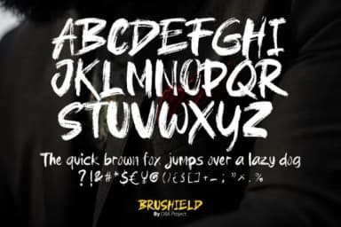 Brushfield Font by DK Project — Script Handwritten Font — thumbnail 5
