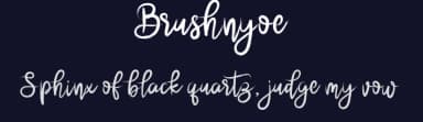 Brushnyoe by Beautypes — Script Handwritten Font — thumbnail 2