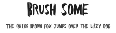 Brush Some by Xerographer Fonts — Script Handwritten Font — thumbnail 1