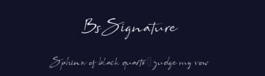 Bs Signature by Akdesain — Script Handwritten Font — thumbnail 2