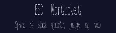 BSD Nantucket by Blue Sky — Script Handwritten Font — thumbnail 2