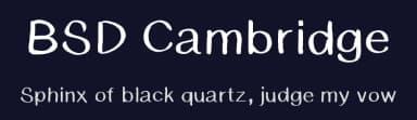 BSD Cambridge by Blue Sky — Script Handwritten Font — thumbnail 2