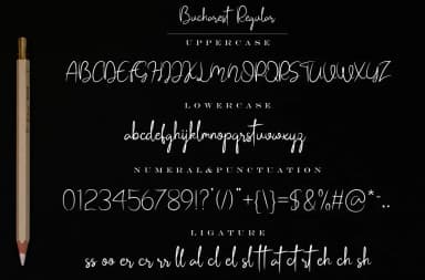 Bucharest Font by Bluestudio — Script Handwritten Font — thumbnail 5