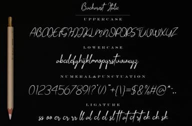 Bucharest Font by Bluestudio — Script Handwritten Font — thumbnail 6