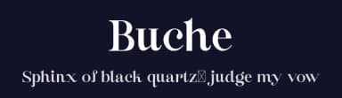 Buche by FactoryType — Serif Font — thumbnail 2