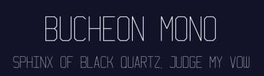 Bucheon Mono by HENRIavecunK Type Co — Sans Serif Font — thumbnail 2