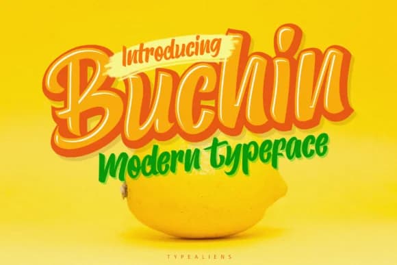 Buchin Font by typealiens — Script Handwritten Font