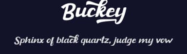 Buckey by Rissyletter Studio — Script Handwritten Font — thumbnail 2