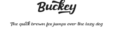Buckey by Rissyletter Studio — Script Handwritten Font — thumbnail 1
