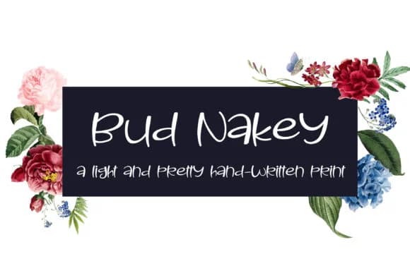 Bud Nakey Font by Illustration Ink — Script Handwritten Font