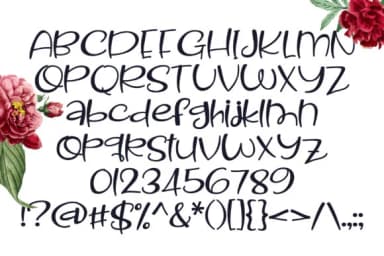 Bud Nakey Font by Illustration Ink — Script Handwritten Font — thumbnail 2