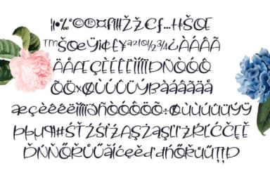 Bud Nakey Font by Illustration Ink — Script Handwritten Font — thumbnail 3