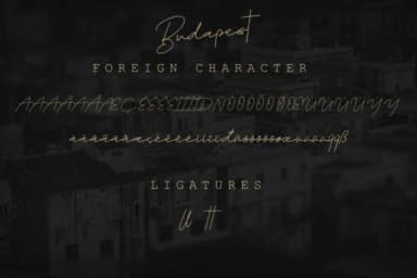 Budapest Family Font by Digital Hustler — Script Handwritten Font — thumbnail 3