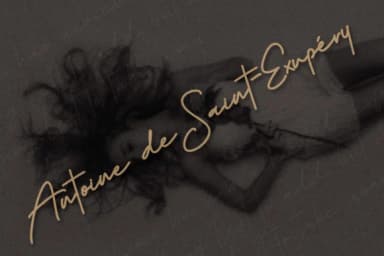 Budapest Family Font by Digital Hustler — Script Handwritten Font — thumbnail 4