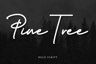 Budapest Family Font by Digital Hustler — Script Handwritten Font — thumbnail 7