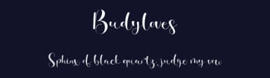 Budyloves by Gilar Studio — Script Handwritten Font — thumbnail 2