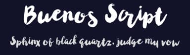 Buenos Script by Sans & Sons — Script Handwritten Font — thumbnail 2