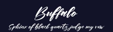 Buffalo by Perspectype Studio - Letterena.com — Script Handwritten Font — thumbnail 2