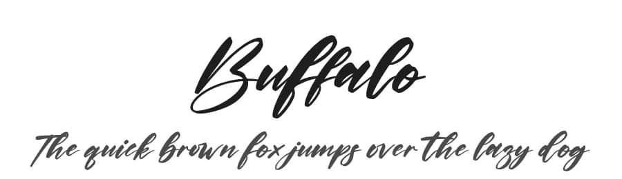Buffalo by Perspectype Studio - Letterena.com — Script Handwritten Font