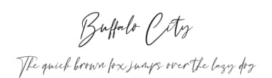 Buffalo City by Perspectype Studio - Letterena.com — Script Handwritten Font — thumbnail 1