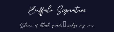 Buffalo Signature by selawetype — Script Handwritten Font — thumbnail 2