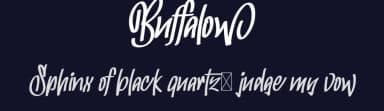 Buffalow by NihStudio — Script Handwritten Font — thumbnail 2
