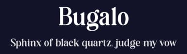 Bugalo by HansCo — Serif Font — thumbnail 2