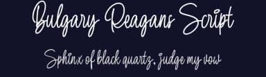 Bulgary Reagans Script by Letterhend Studio — Script Handwritten Font — thumbnail 2