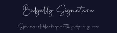 Bulgatty Signature by Bale — Script Handwritten Font — thumbnail 2