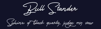 Bull Stander by Dirtyline Studio — Script Handwritten Font — thumbnail 2
