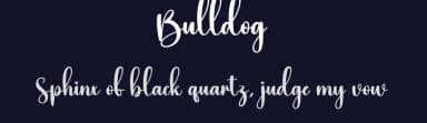 Bulldog by Scratchones — Script Handwritten Font — thumbnail 2