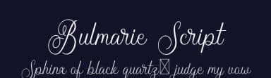 Bulmarie Script by Muwatta Studio — Script Handwritten Font — thumbnail 2