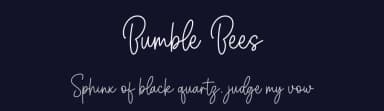 Bumble Bees by Graphix Line Studio — Script Handwritten Font — thumbnail 2